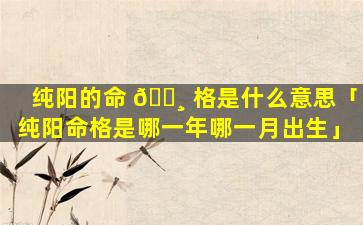 纯阳的命 🌸 格是什么意思「纯阳命格是哪一年哪一月出生」